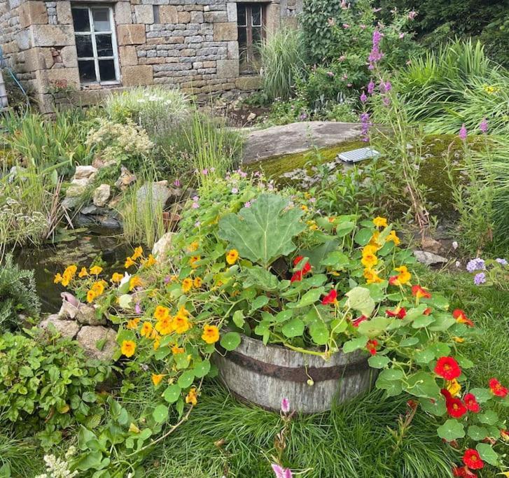 Le Petit Fleur - The Little Flower, Cosy Cottage Saint-Michel-de-Montjoie Zewnętrze zdjęcie